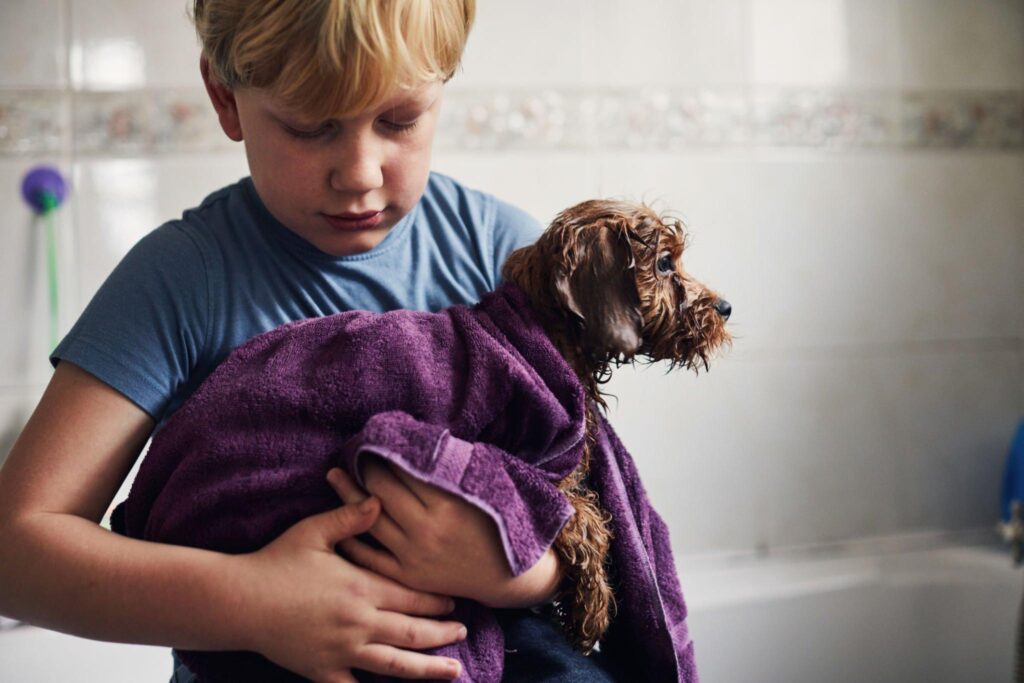 pet towel